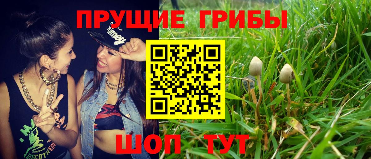 Галлюциногенные грибы Psilocybe  как найти закладки  Павлово  Вход с VPN 