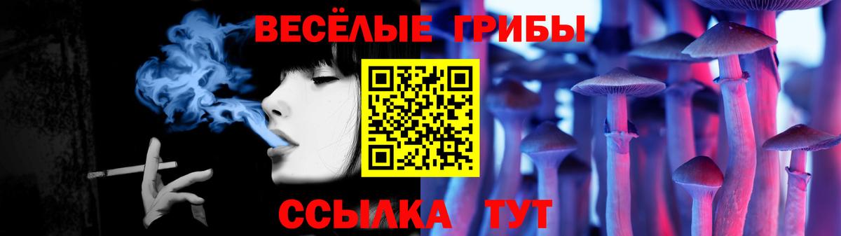 Псилоцибиновые грибы GOLDEN TEACHER Павлово